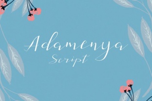 Adamenya: A Script Handwritten Font for Creative Product Makers