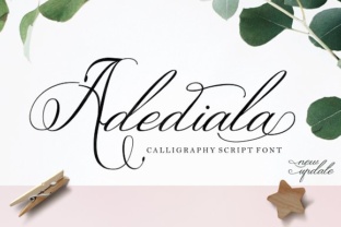 Adediala: A Script Handwritten Font for Modern Web Design