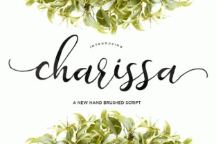 Charissa: The Handwritten Font That Elevates Your Brand