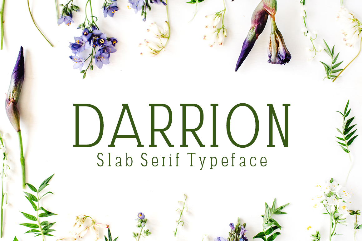 Darrion: The Font That Elevates Your Campaigns