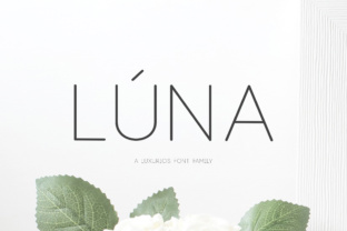 Lúna: The Font That Transformed My Brand