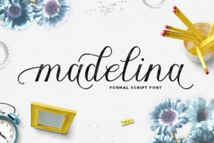 Madelina: A Script Handwritten Font for Warm Branding