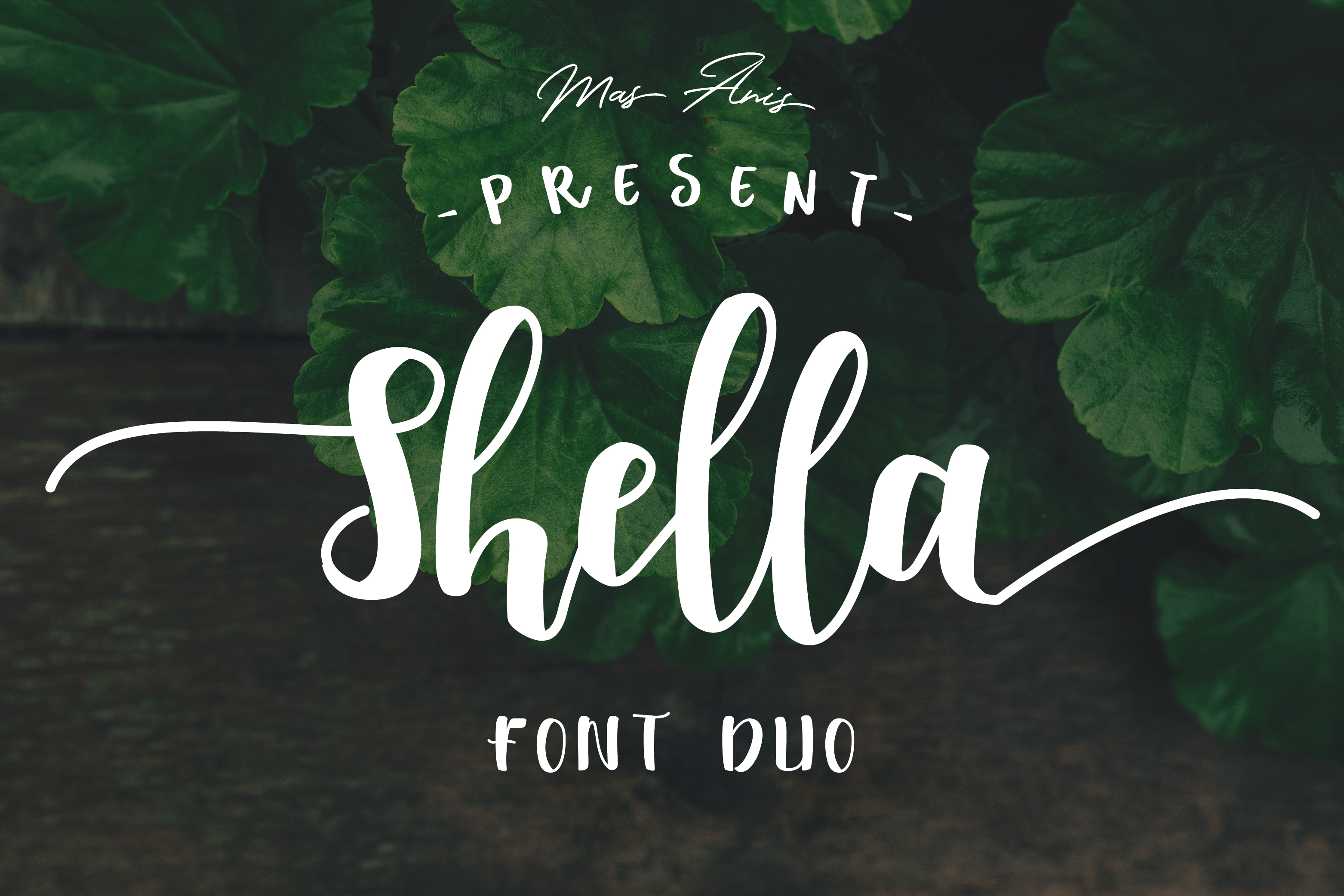 Shella: A Script Handwritten Font for Dynamic Web Design
