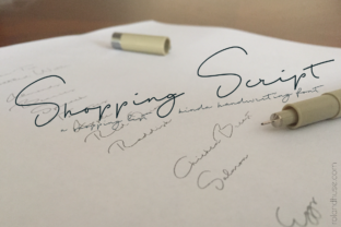 Shopping Script: A Versatile Font for Creative Campaigns