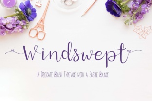 Windswept: A Delicate Brush Font for Modern Editorial Design